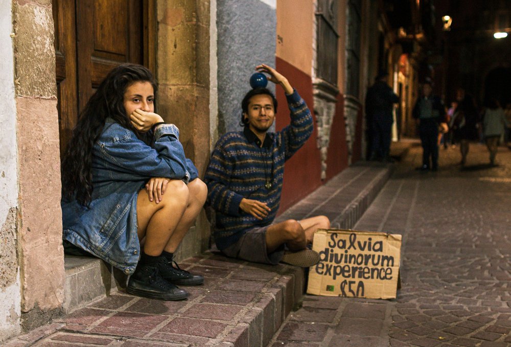 Divinorum experience