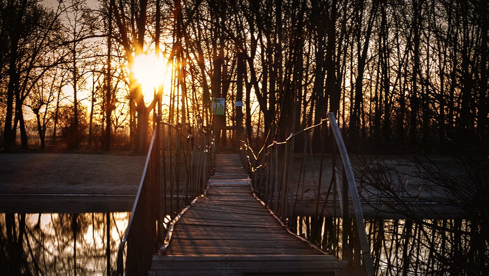 Photograph by Александр Калудин