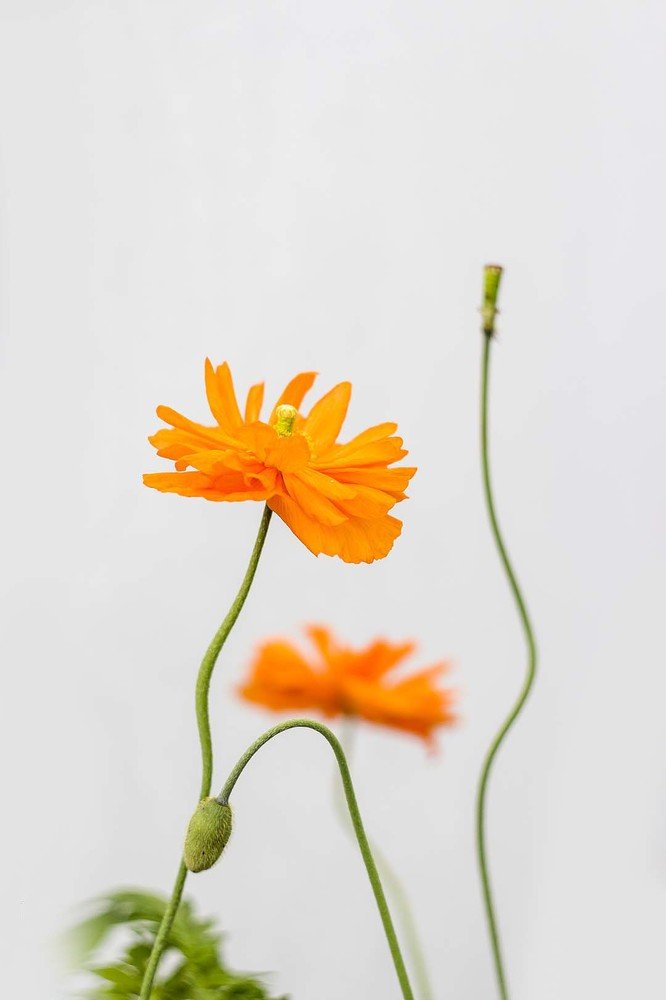 Photograph by Lara Stratova