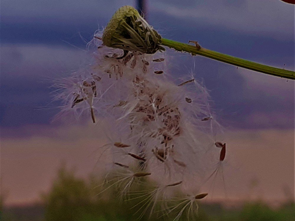 Photograph by Drago Franco