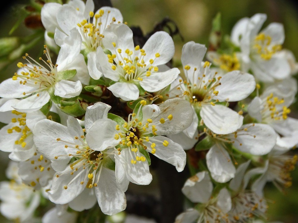 Photograph by Марина Цекова