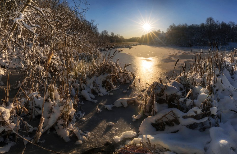 Фотография автора Майя Афзаал