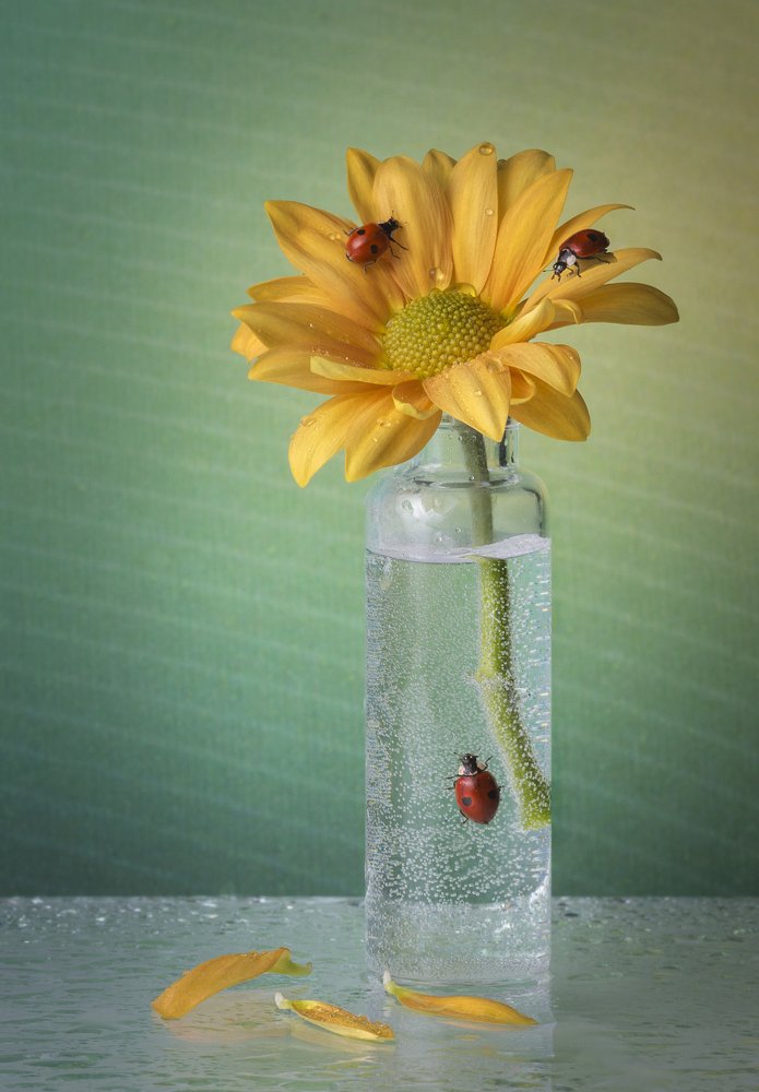 Photograph by Максим Вышарь