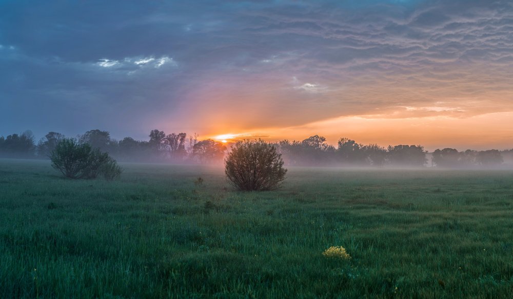 Photograph by Александр Дергаусов