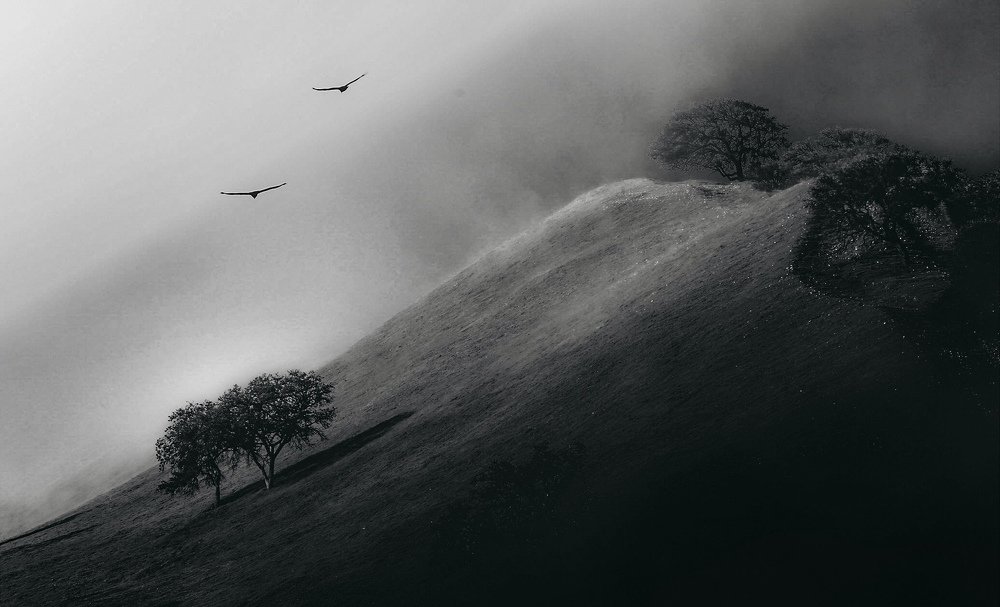 Photograph by Jed Gallimore