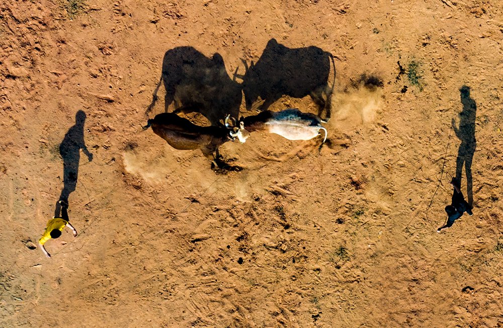 Photograph by Viet Linh Tran