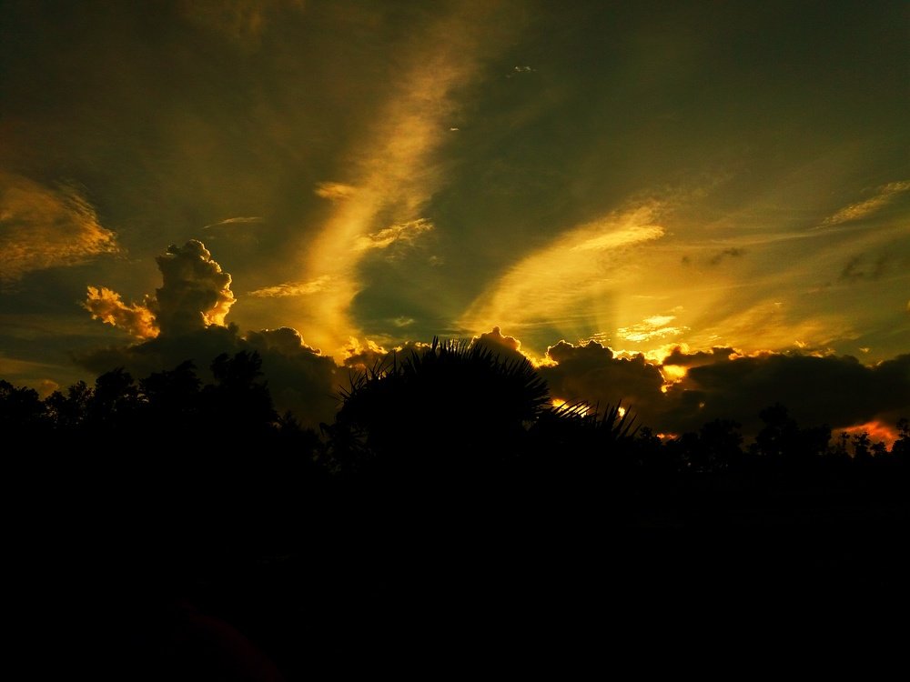Photograph by Niazul Islam Maruf
