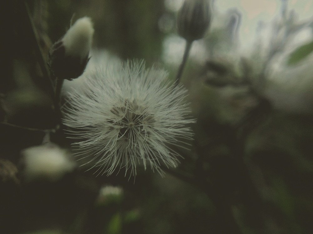 Photograph by Niazul Islam Maruf
