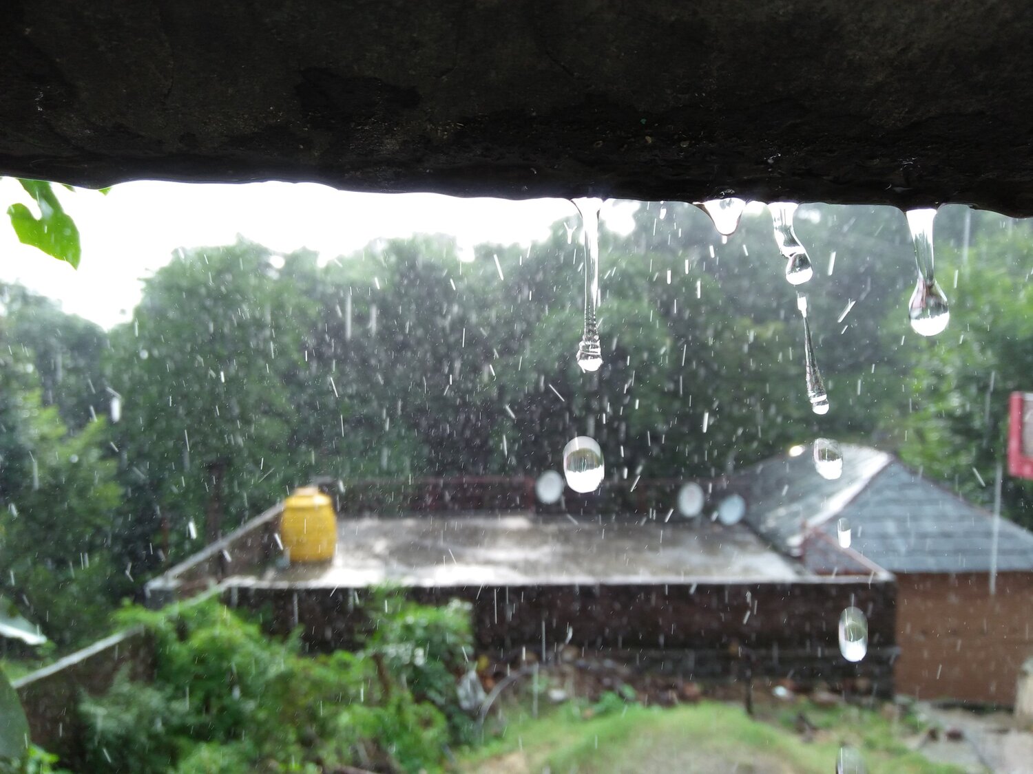 Photo #4493061