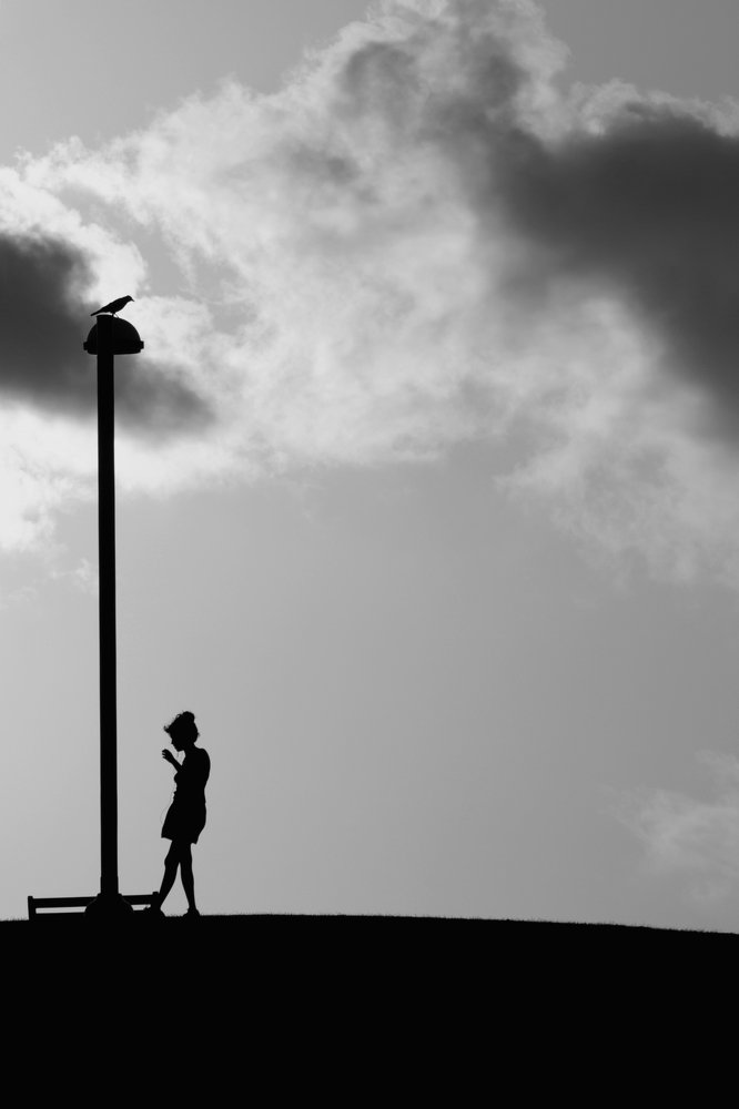 Фотография автора vladimir algazin