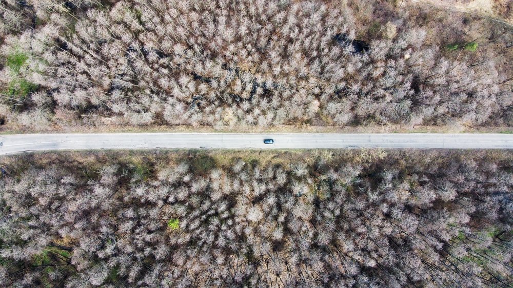 Одинокий автомобиль