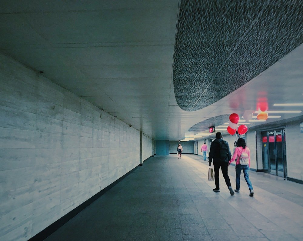 Photograph by Daria G