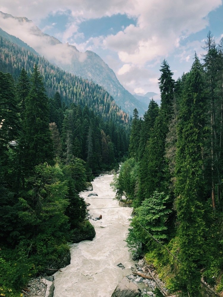 Photograph by Daria G