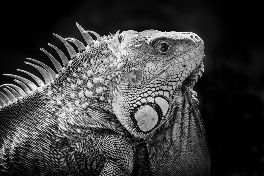 Photograph by Edina Muhari