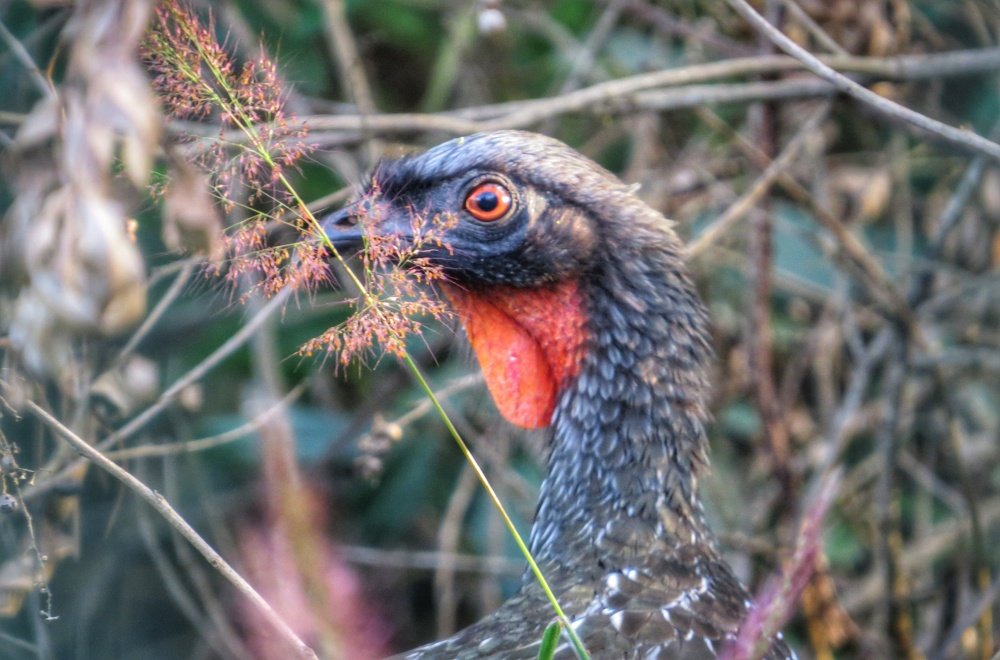 Фотография автора Marco Túlio