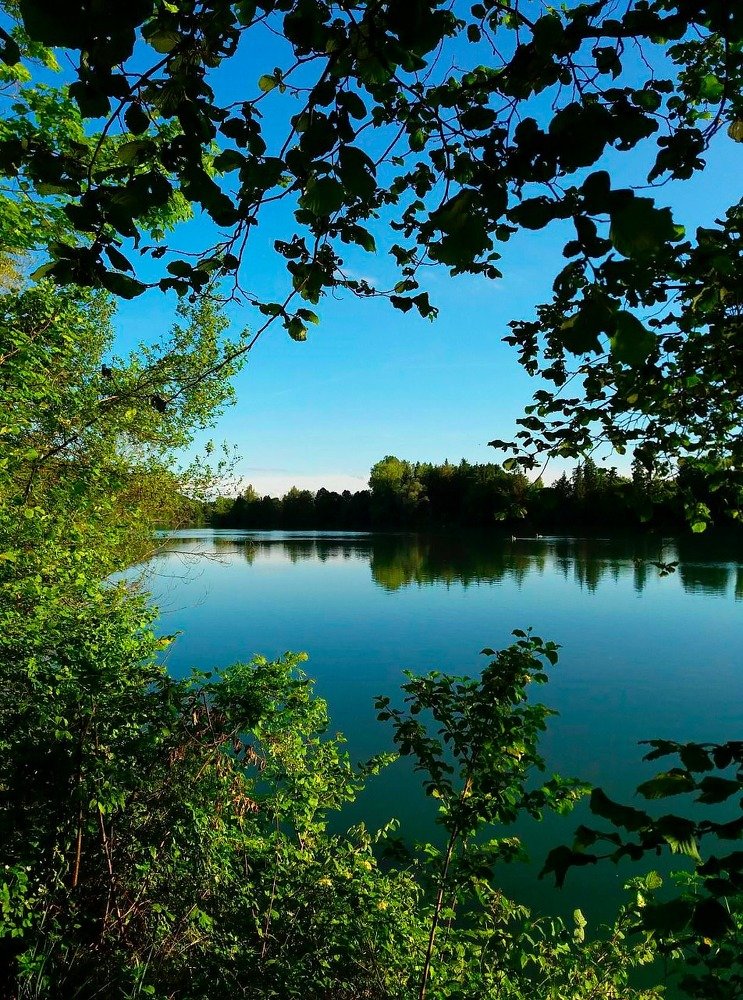 Photograph by Наталья Басова