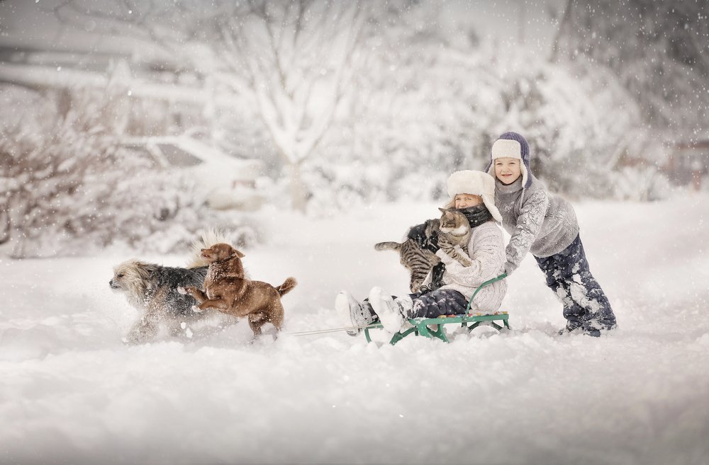 Photograph by Станкевич Анечка