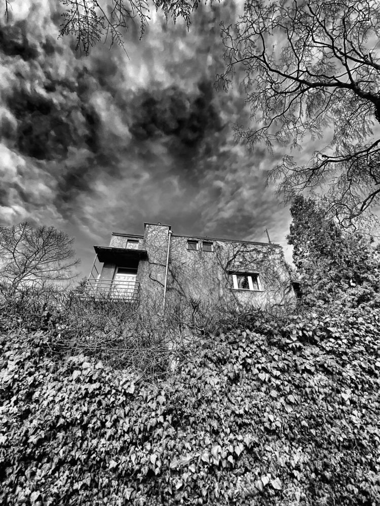 Photograph by Wojciech Radzko