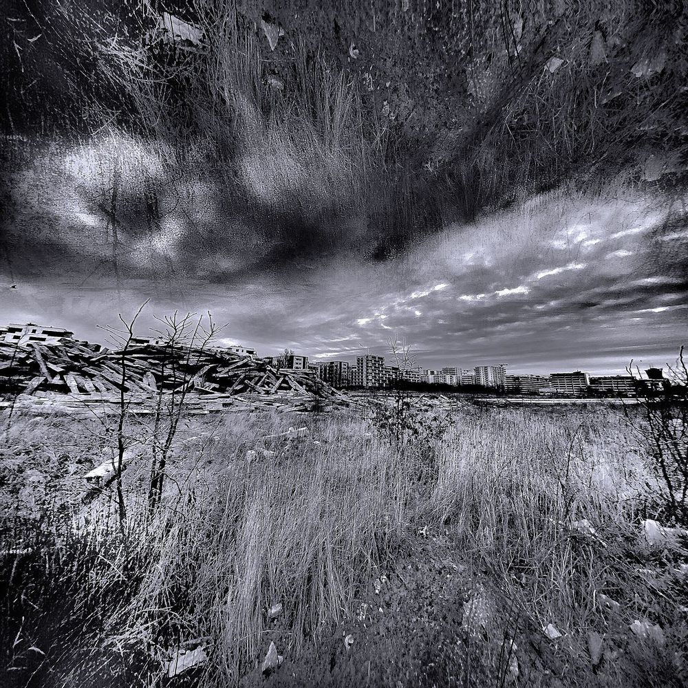 Photograph by Wojciech Radzko