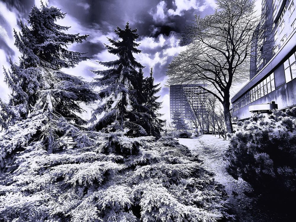 Photograph by Wojciech Radzko