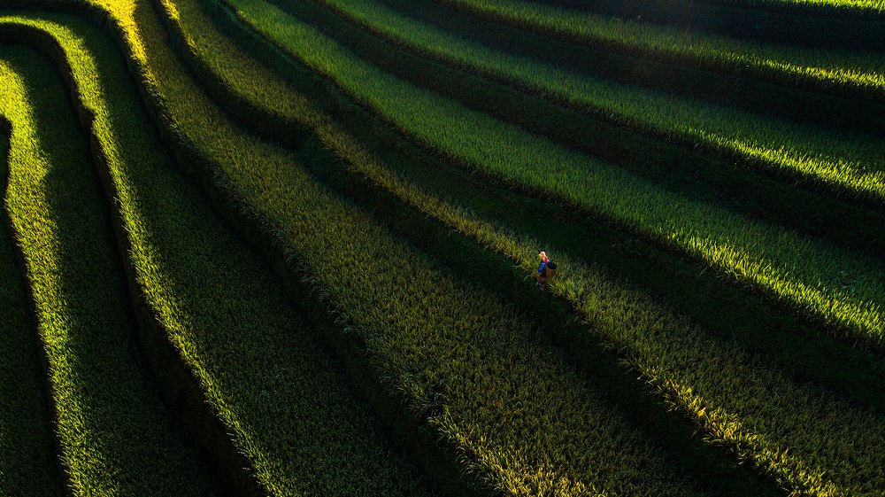 Photograph by Dung Ly Viet