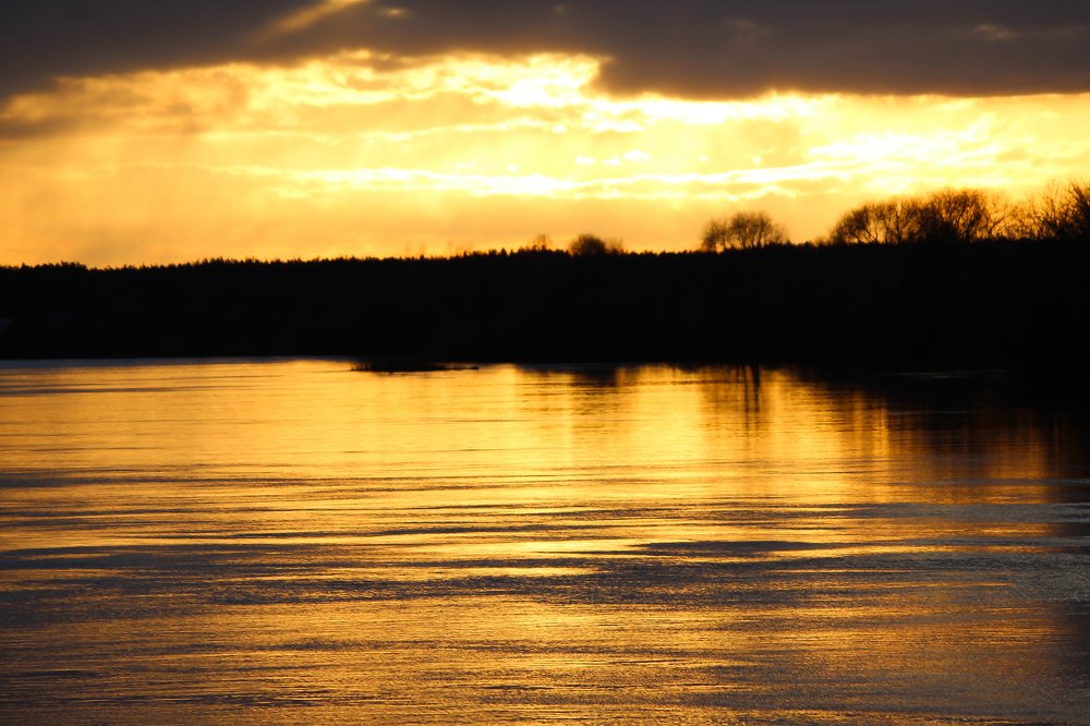 Photograph by Алексей Попов