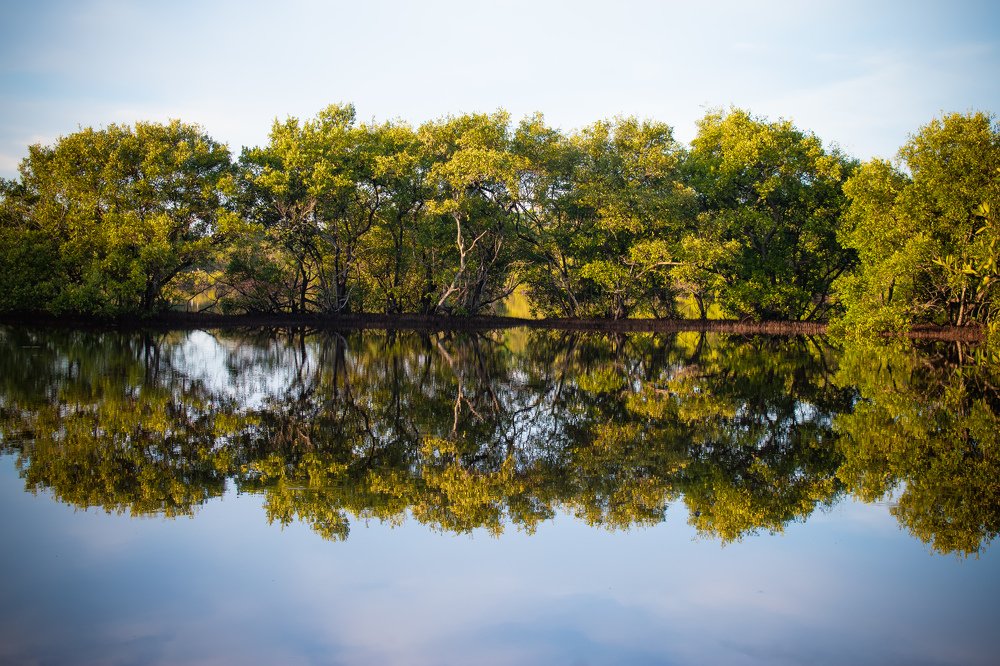 Photograph by Jeffry Castro