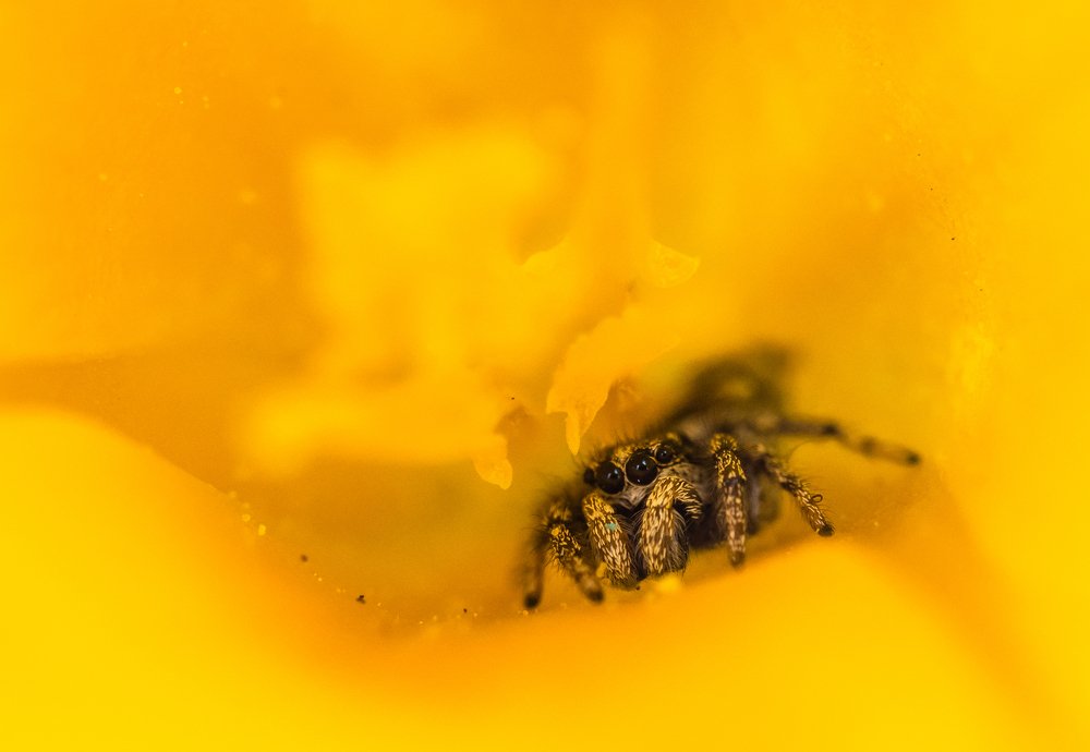 Photograph by Ольга Линк