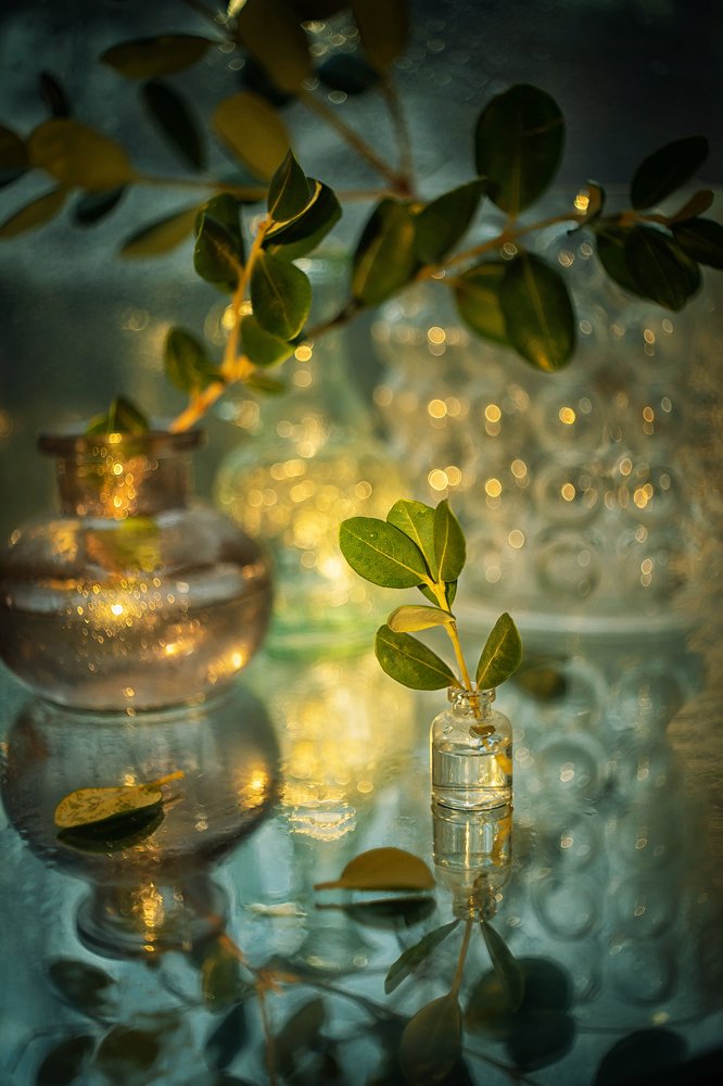 Photograph by Виктория Семернова