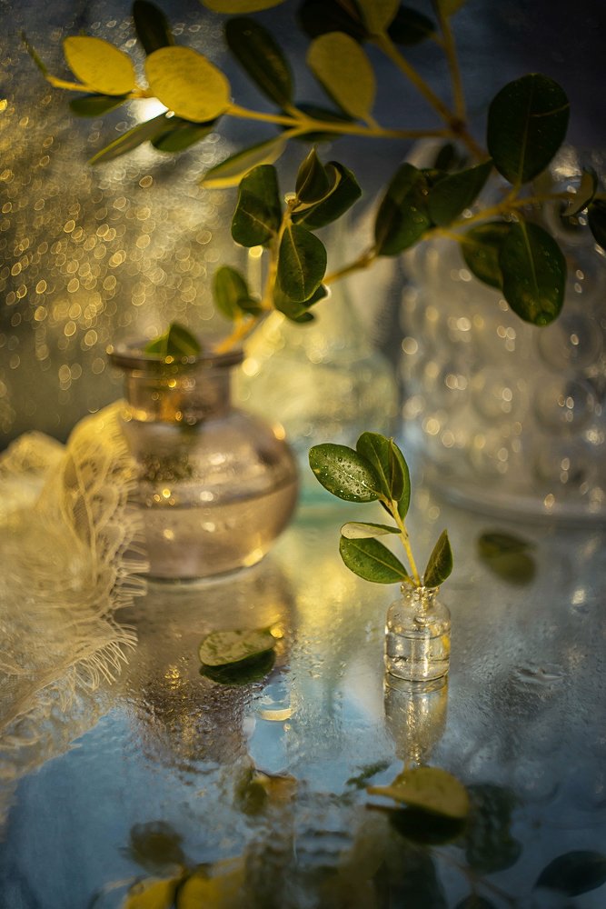 Photograph by Виктория Семернова