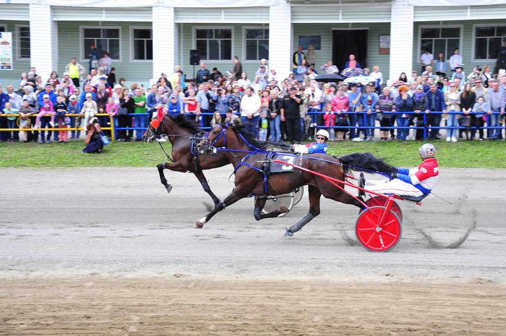 Орбит VS Казначей