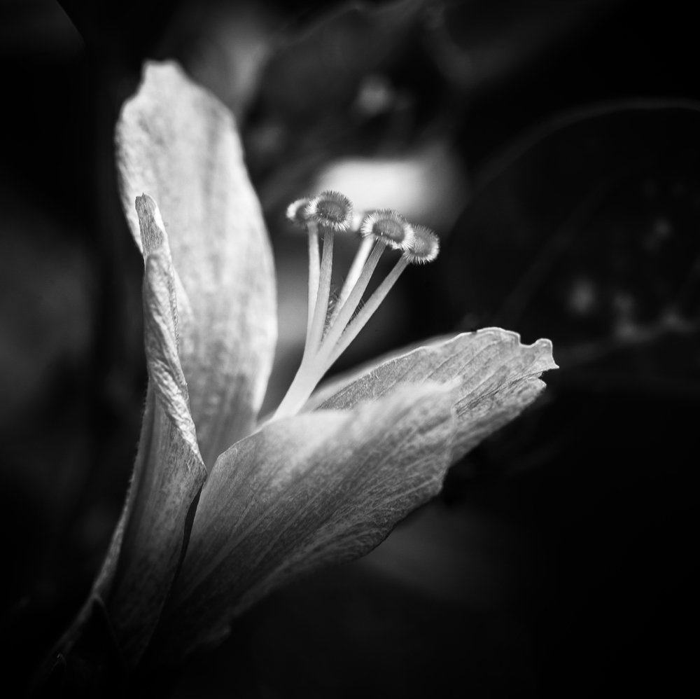 Photograph by pouyan safavi