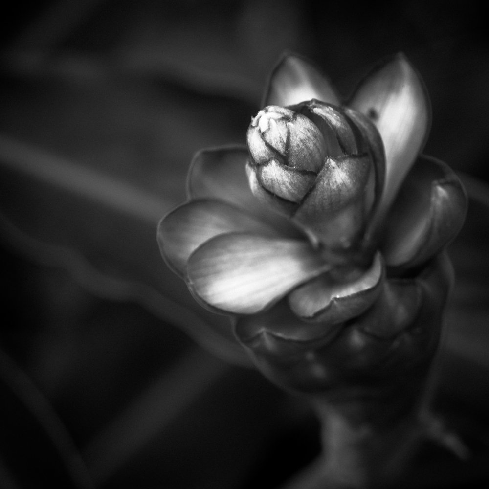 Photograph by pouyan safavi