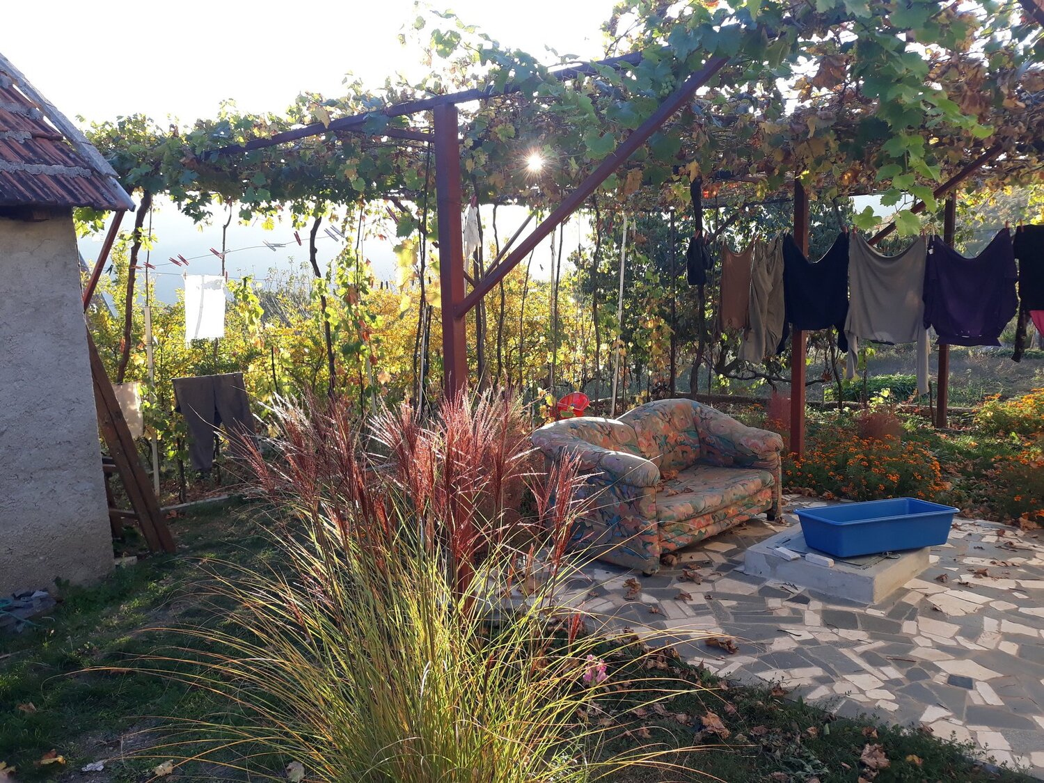 Photo #4494352