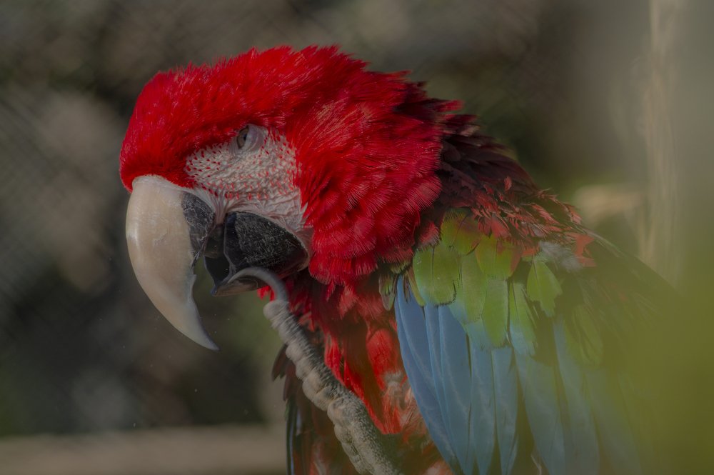 Фотография автора giorgi