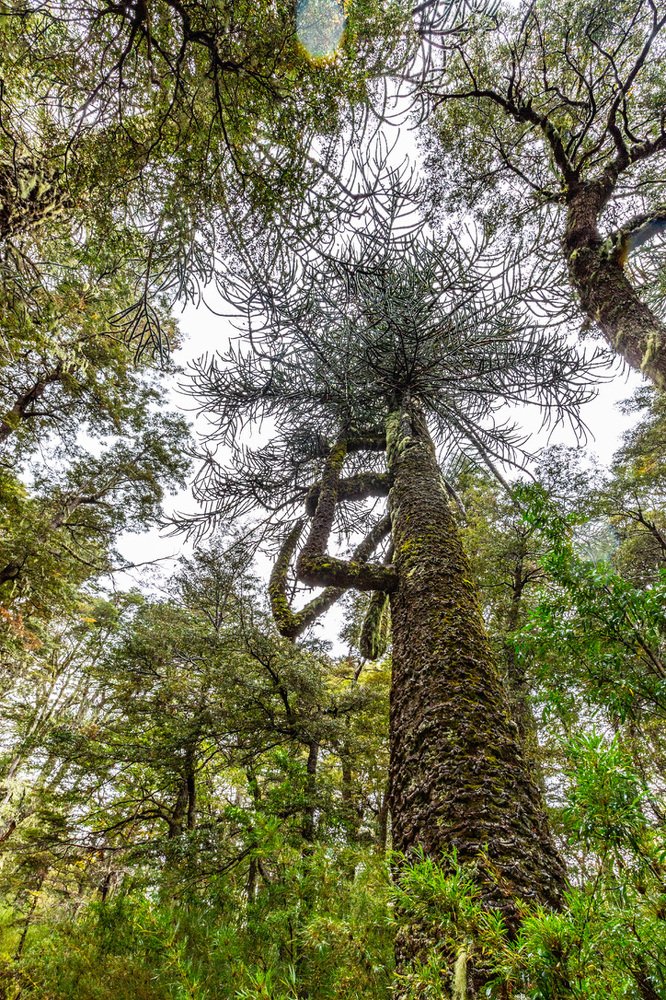 Photograph by Vicente Bruna