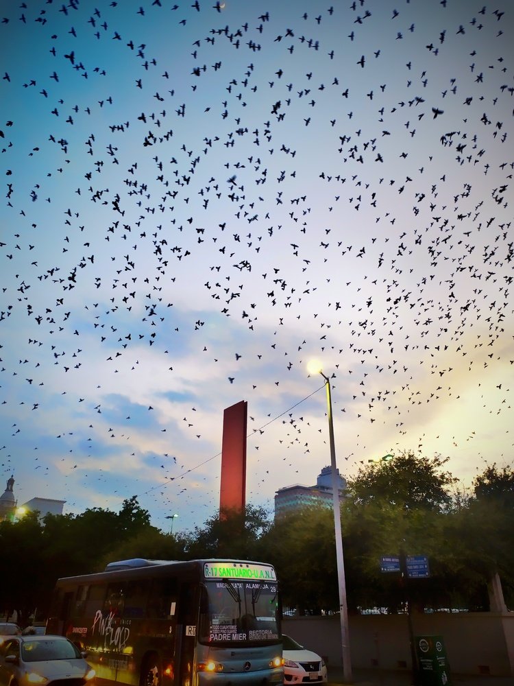 Photograph by ALEJANDRO MORELOS