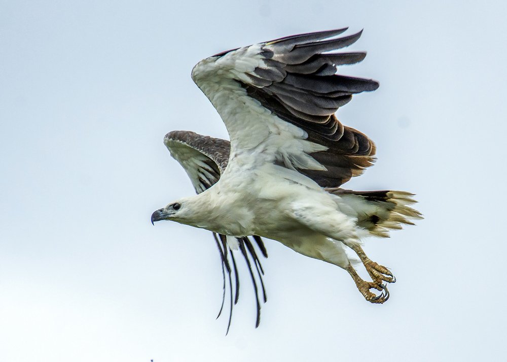 Photograph by Subhadeep Saha