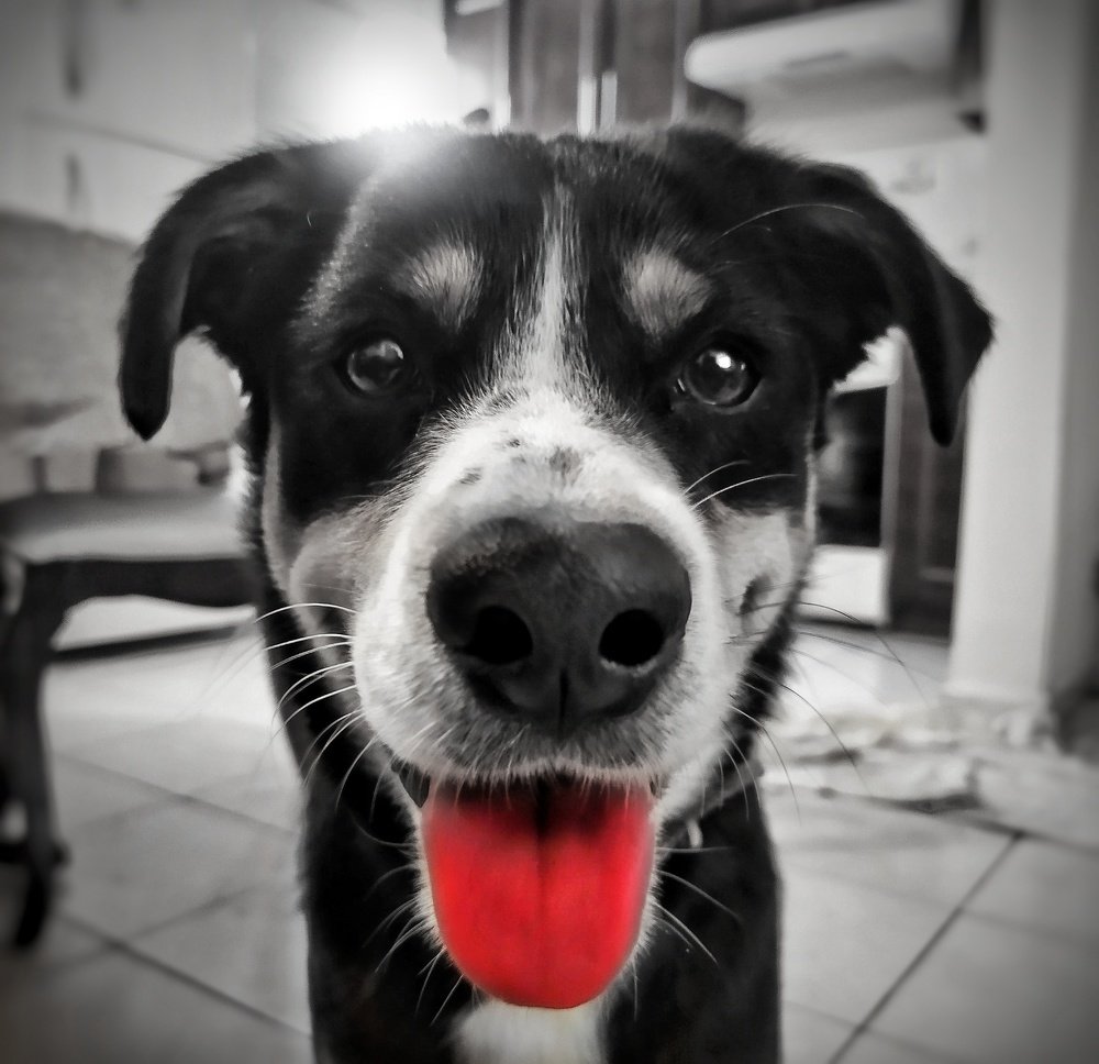 Photograph by ALEJANDRO MORELOS