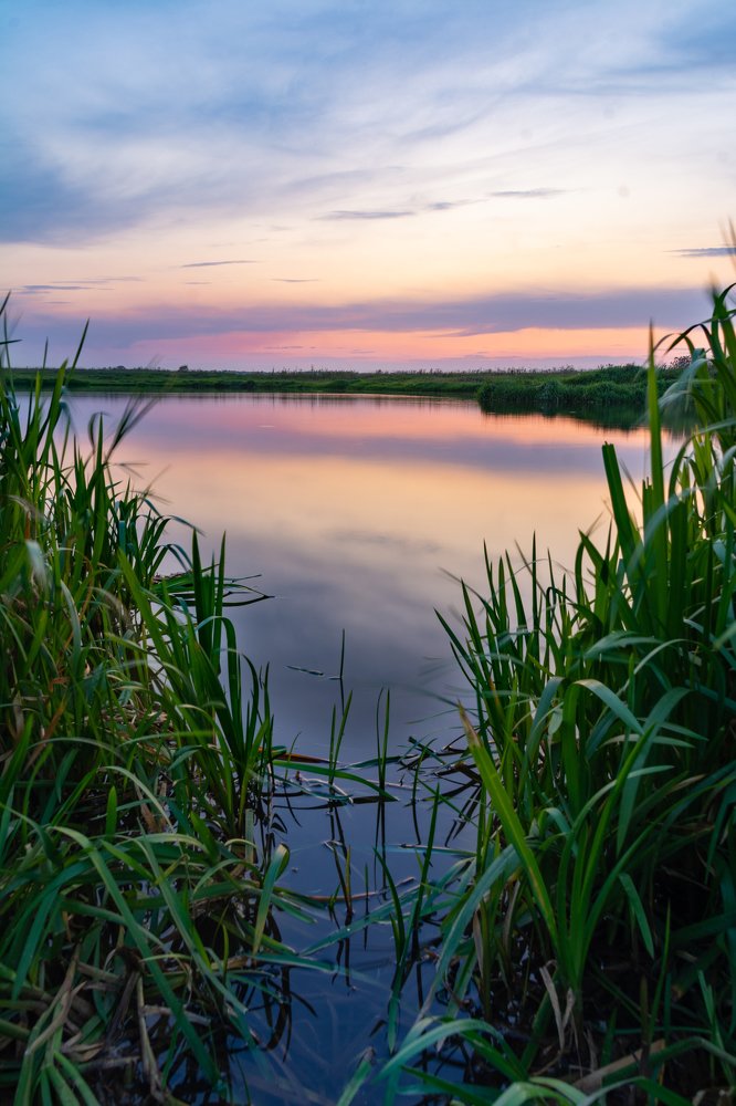 In a quiet backwater