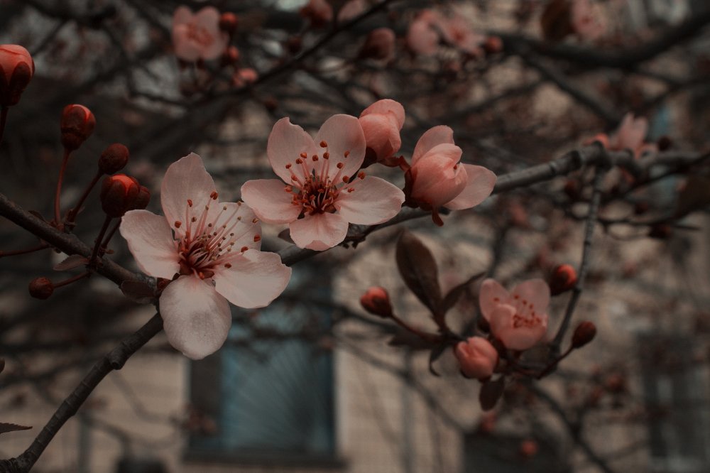 Photograph by Екатерина Красновская