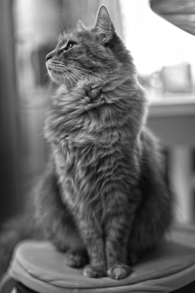 Фотография автора Коротков Алексей