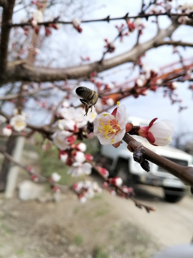 Photo #4494680