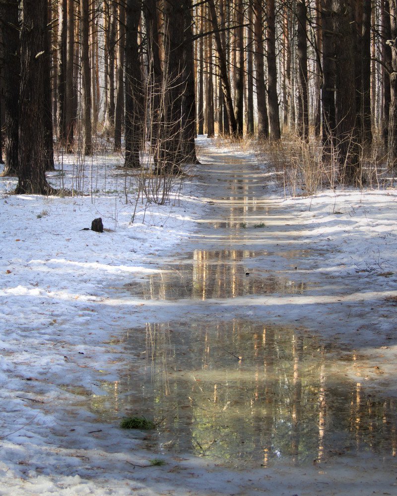 Photograph by Андрей Куприенко