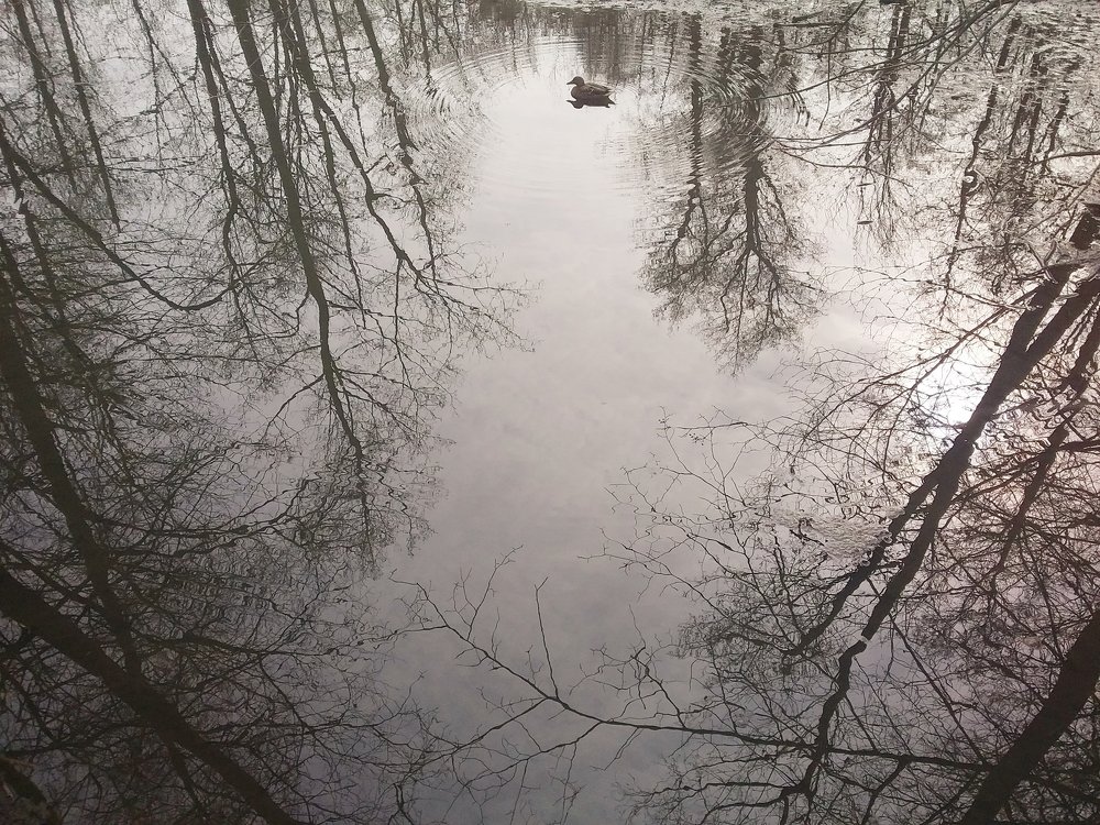 Photo #4494899