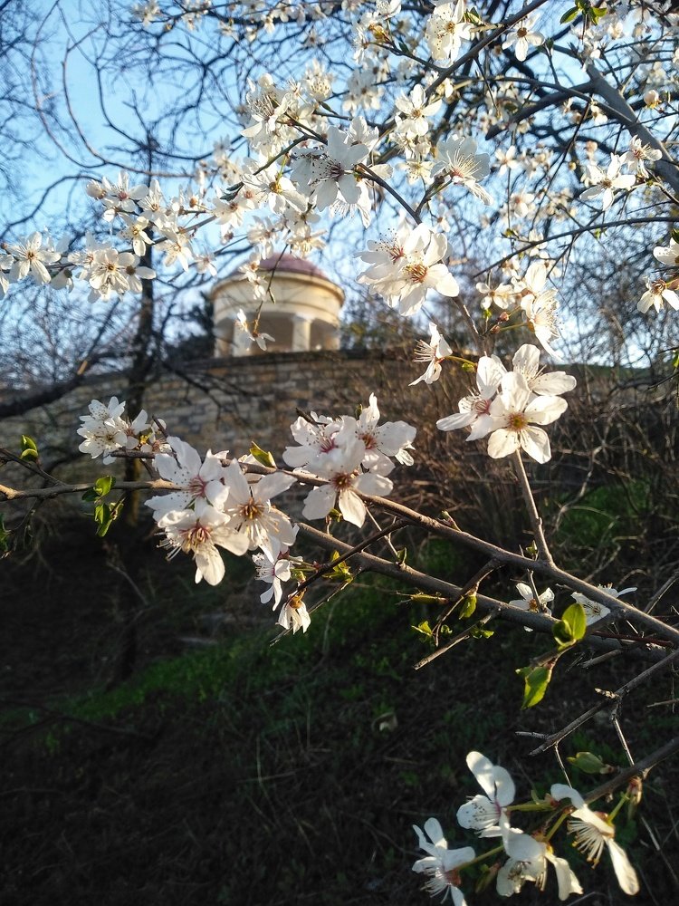 Утреннее солнце очень нежное