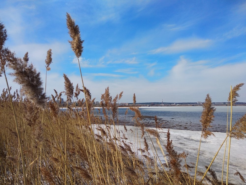 Photograph by Татьяна Азимова