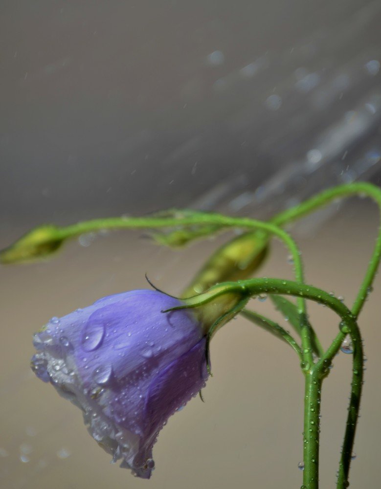 Photograph by Sevgi Duyar