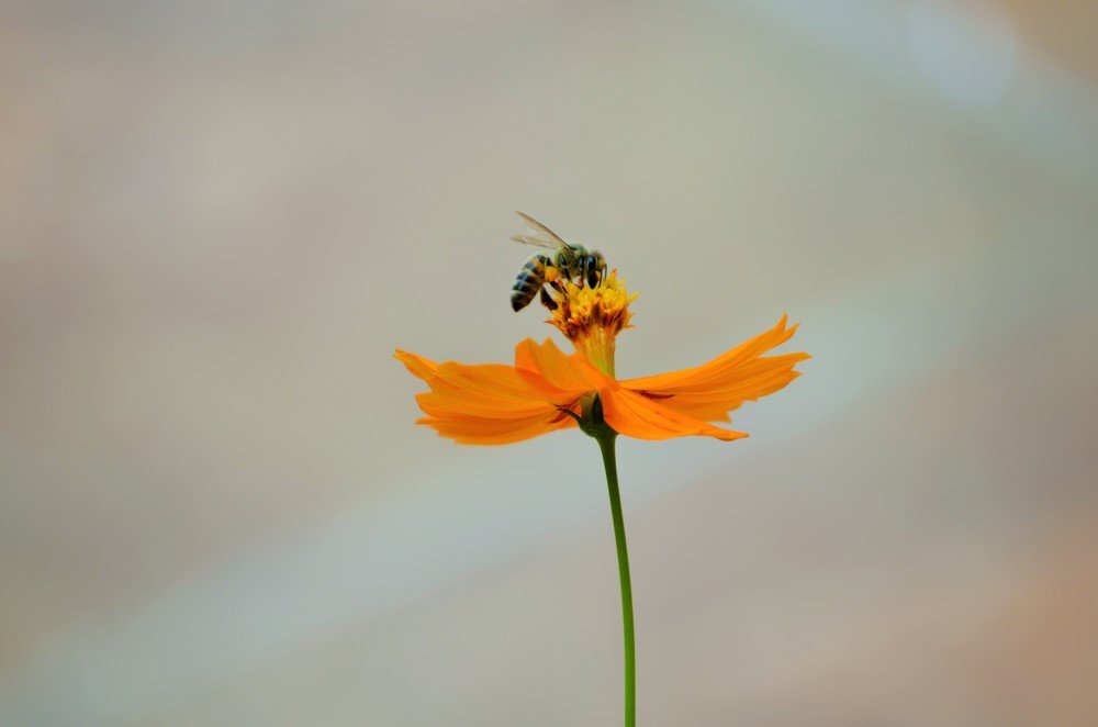 Photograph by Sevgi Duyar