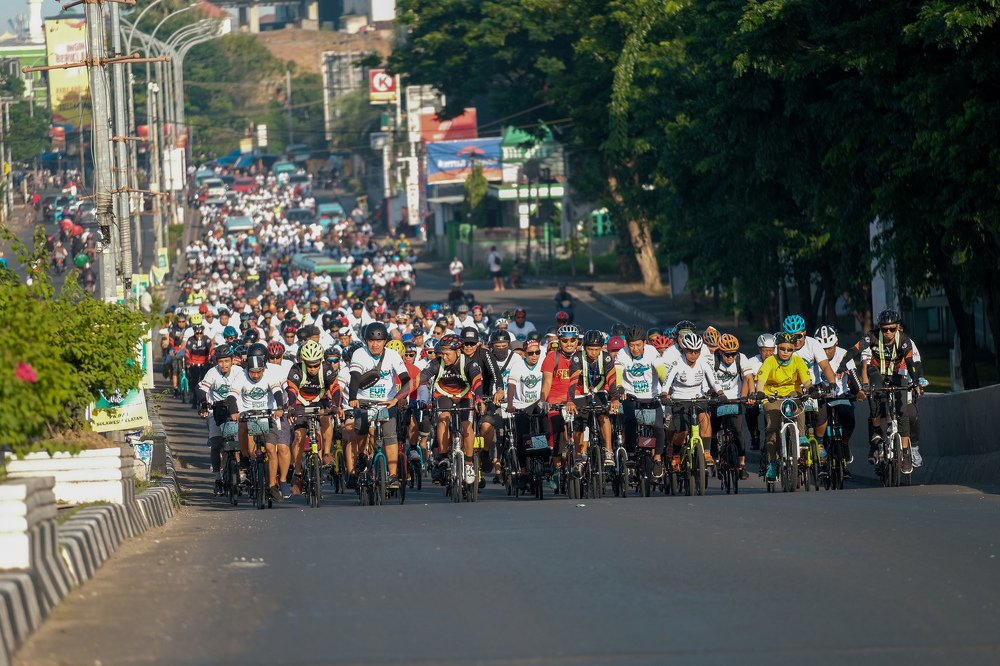 Фотография автора  Javed Najafi